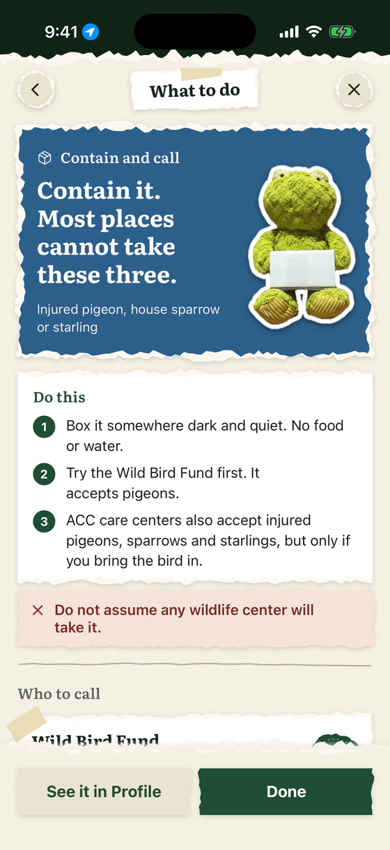 The card for an injured pigeon: Contain and call. Contain it. Most places cannot take these three. Then three numbered steps, a warning not to assume any wildlife center will take it, and Who to call.