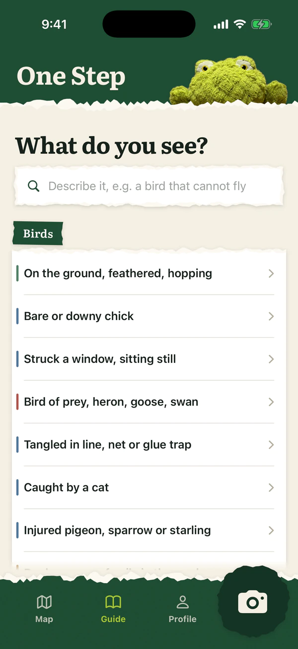 The Guide tab: What do you see? A search box and a list of bird situations, from On the ground, feathered, hopping to Injured pigeon, sparrow or starling.
