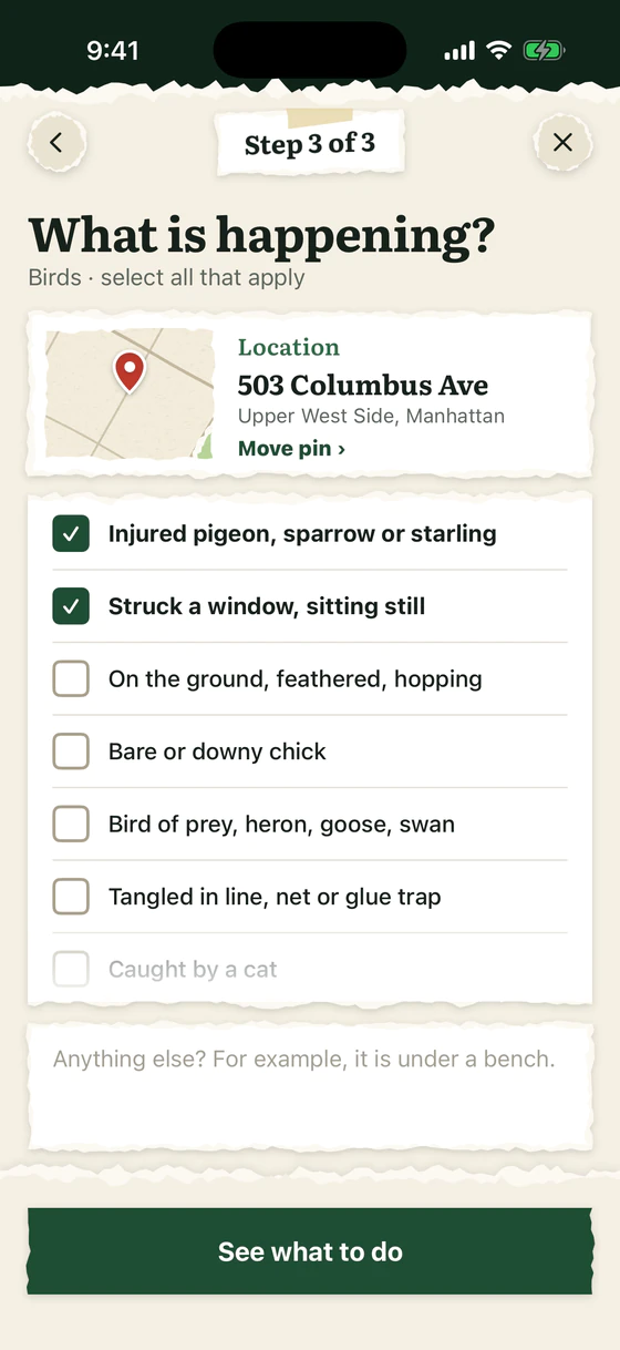 The What is happening? screen for a bird: the location, and a checklist with Injured pigeon, sparrow or starling and Struck a window, sitting still ticked.